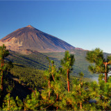 Image pour Tenerife