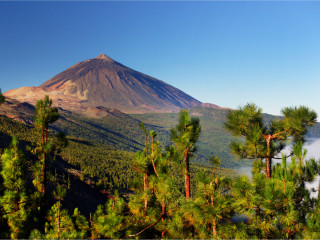 Image pour Tenerife