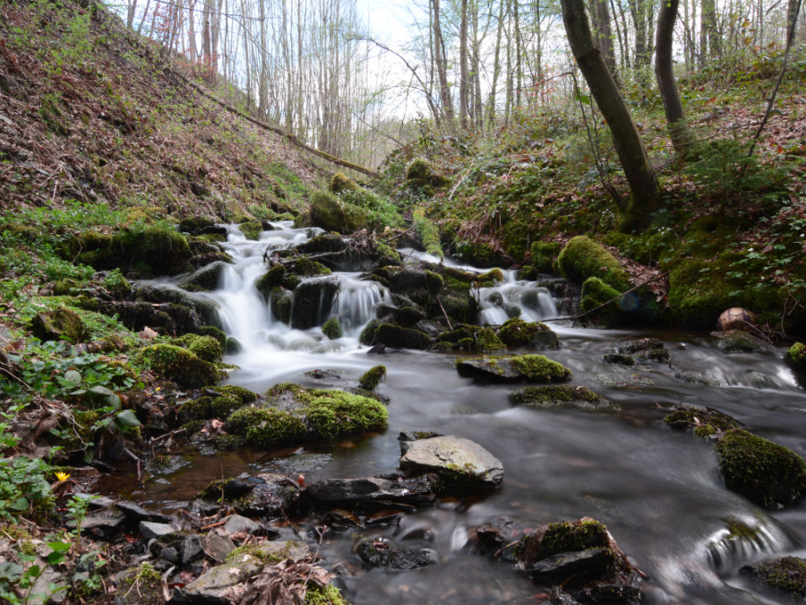 Ruisseau à St Hubert en Ardenne