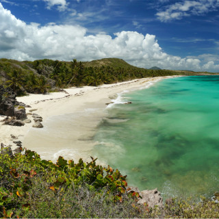 Image pour Martinique