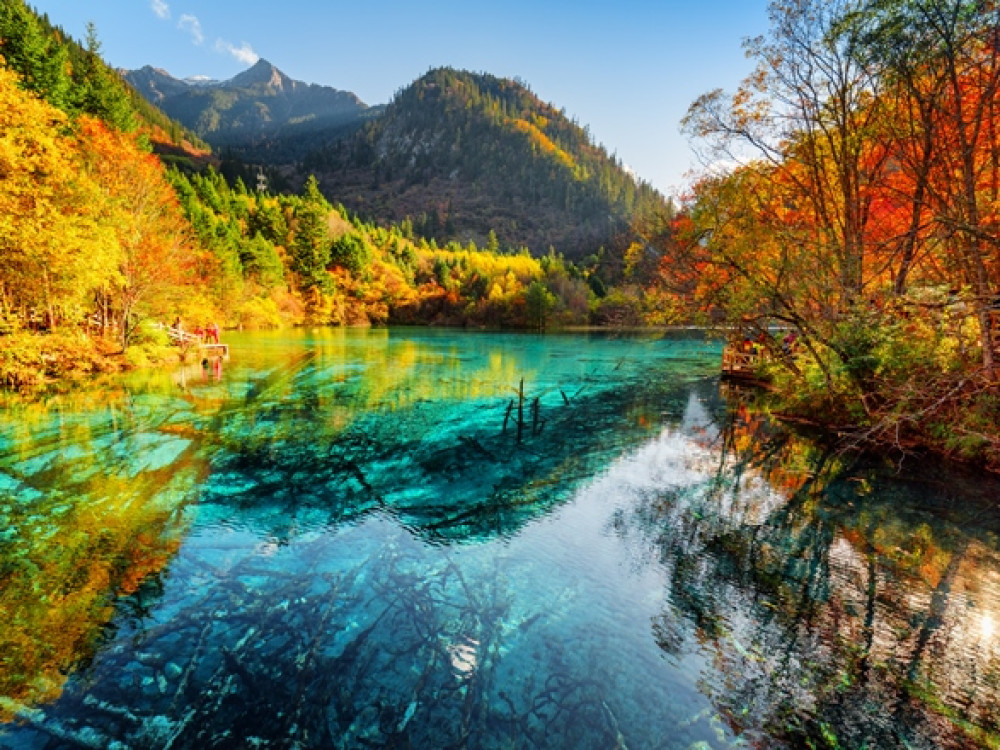 Lac des cinqs fleurs de Jiuzhaigou