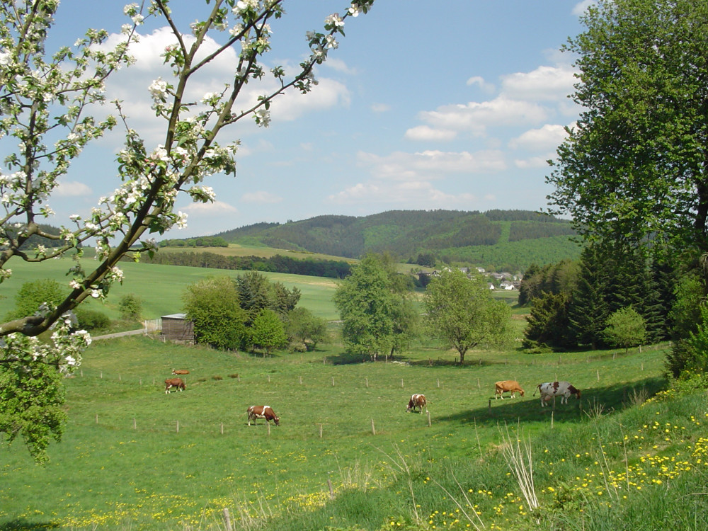 L'Eifel