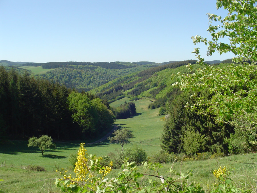Paysage de l'Eifel