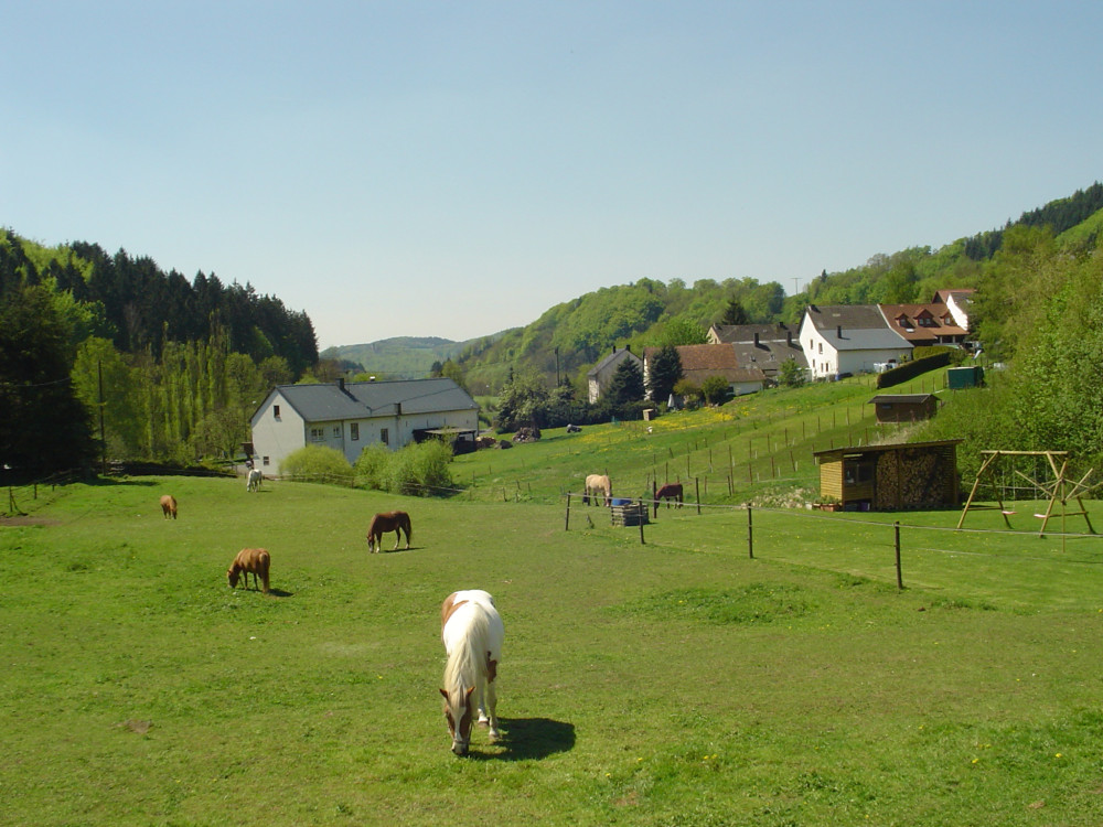 Paysages de l'Eifel