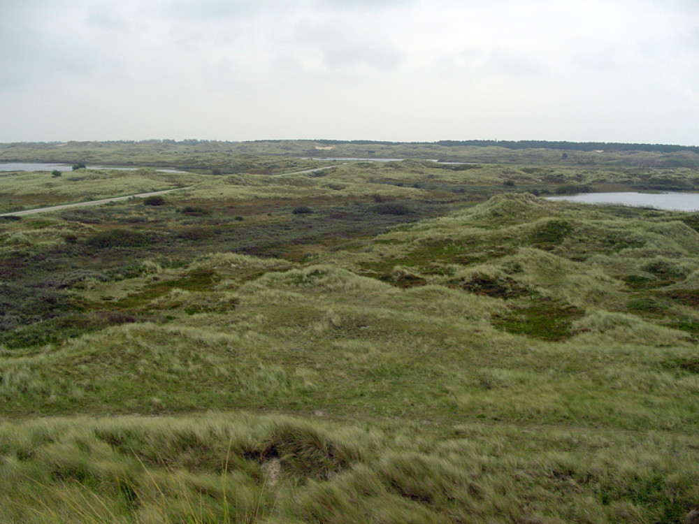 Nature à Terschelling