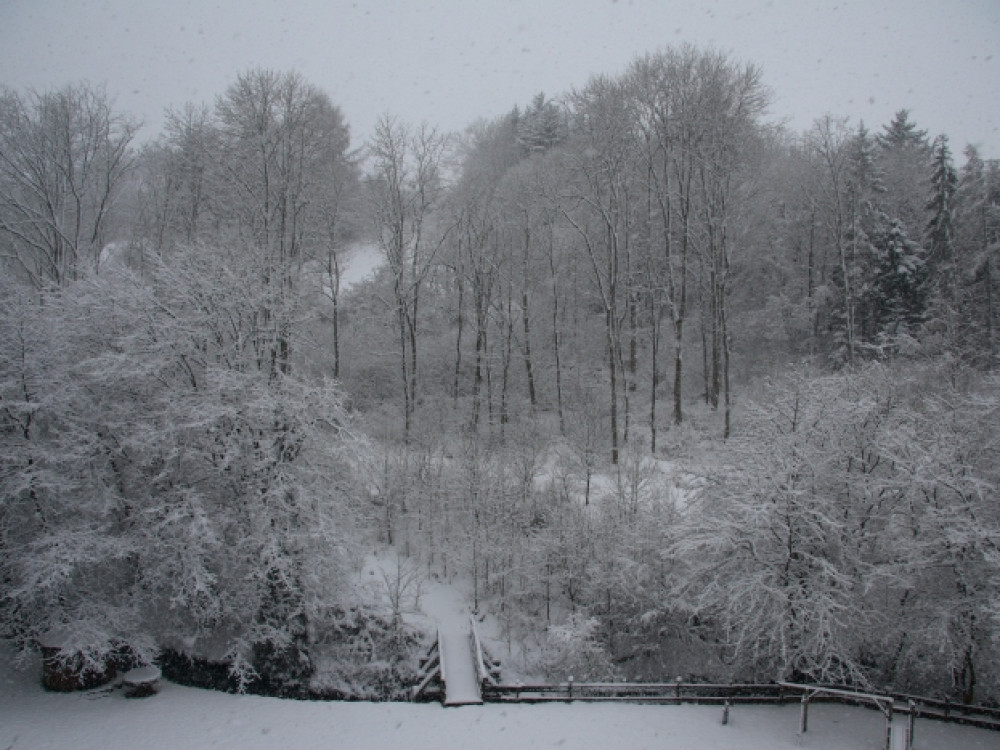 L'hiver dans l'Eifel