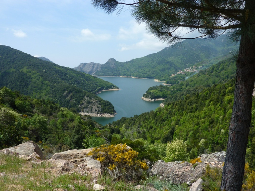 Baie