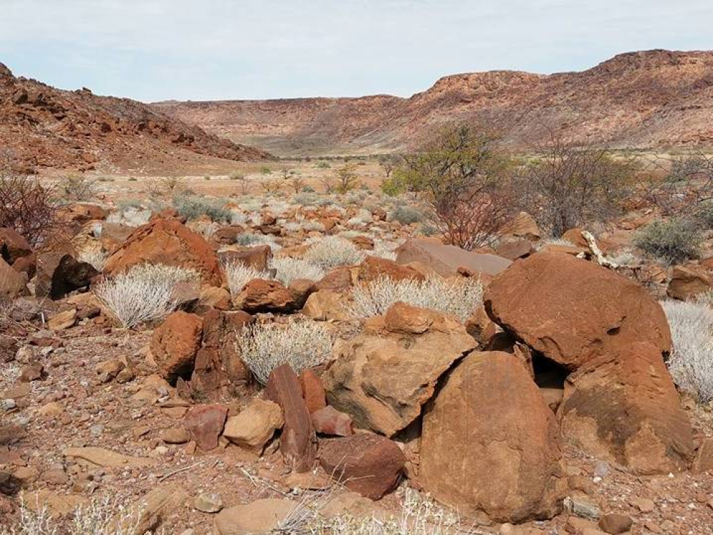 Nature à Twyfelfontein