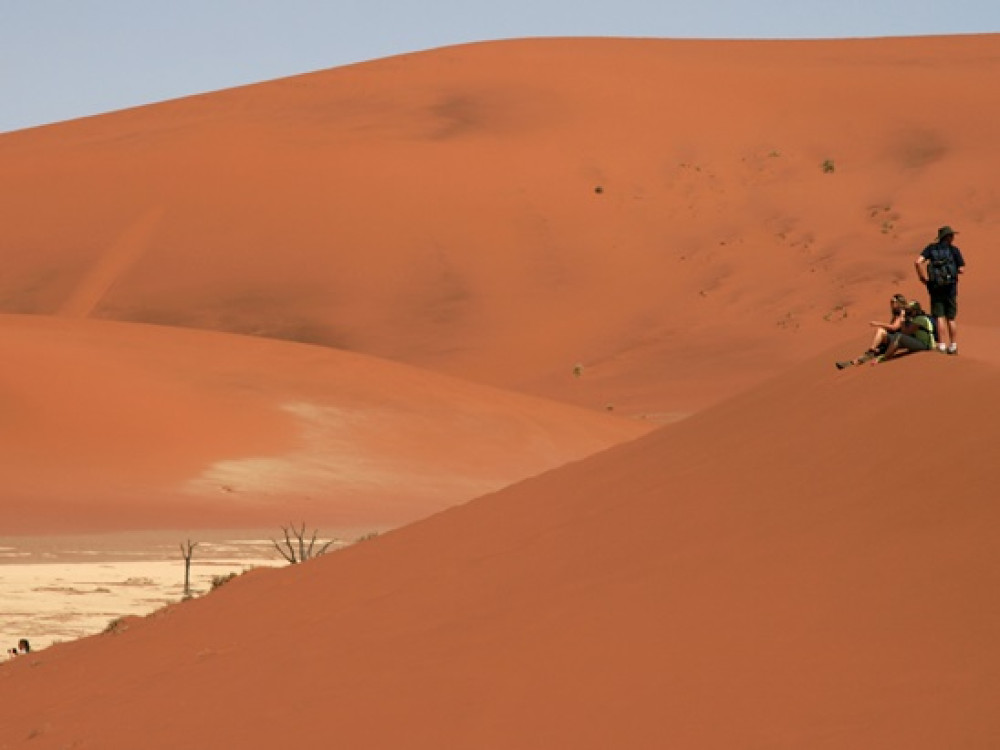 Au sommet d'une dune