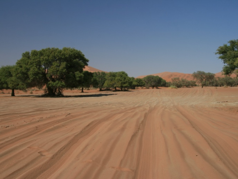 Dernier tronçon de route vers Sossusvlei