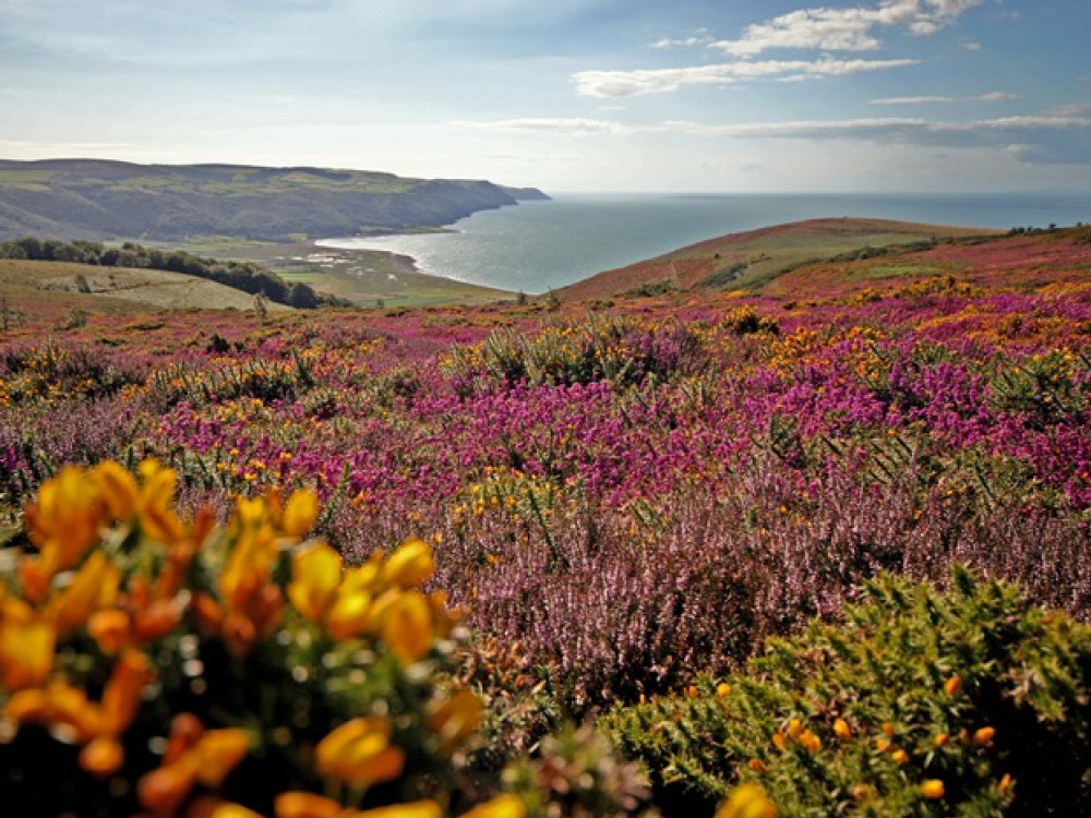 Parc national d'Exmoor
