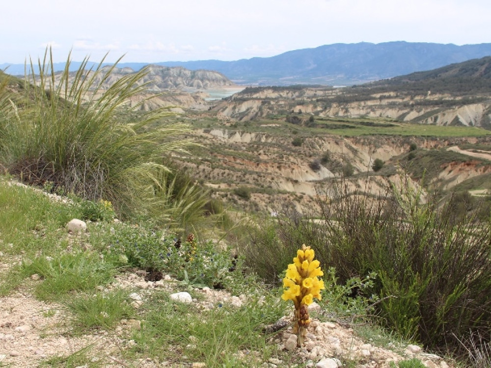 La Sierra Espuña, en Murcie