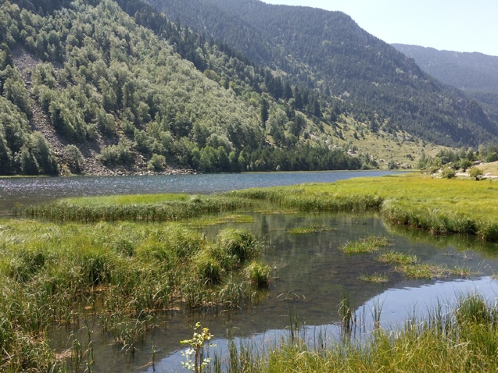 Aigüestortes nature