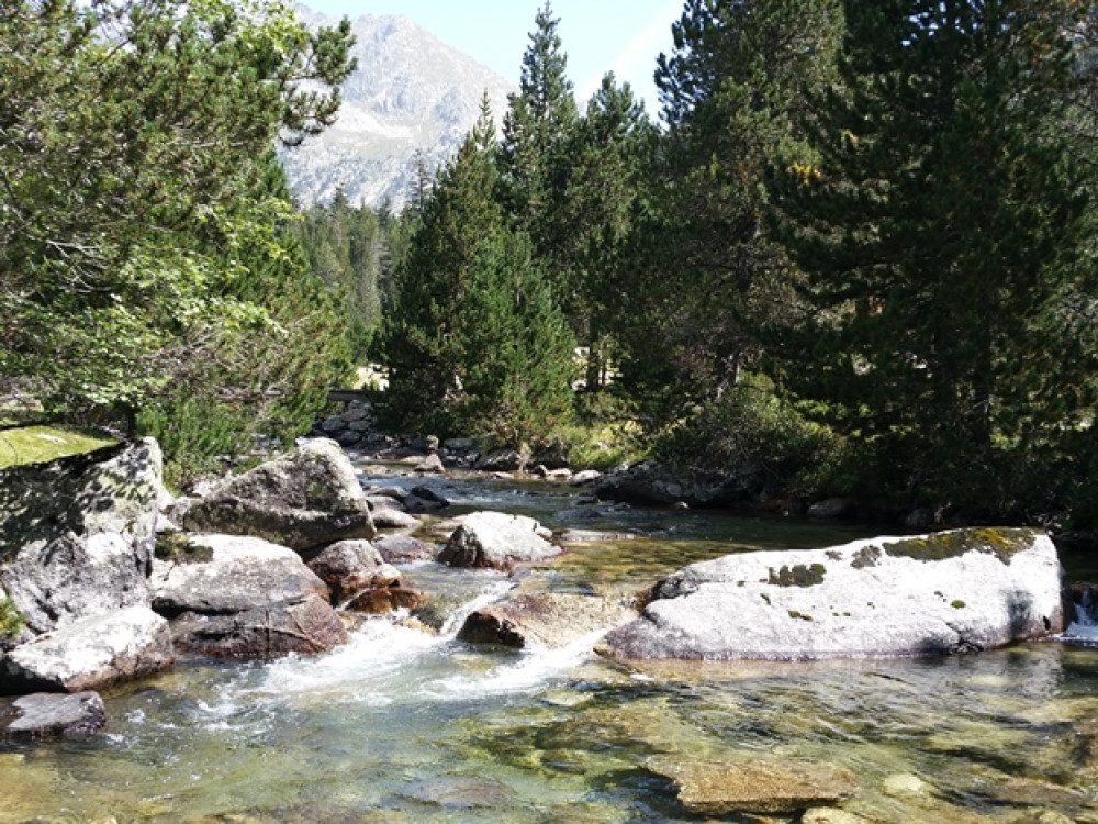 Ruisseau
