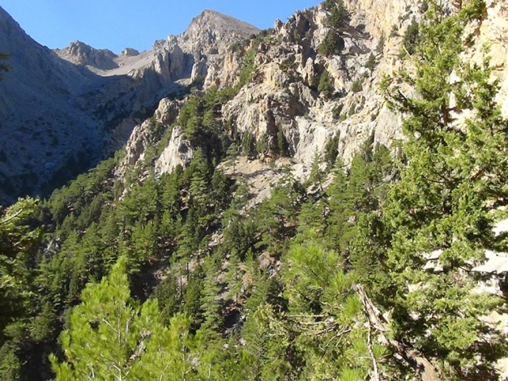 La nature en Crète