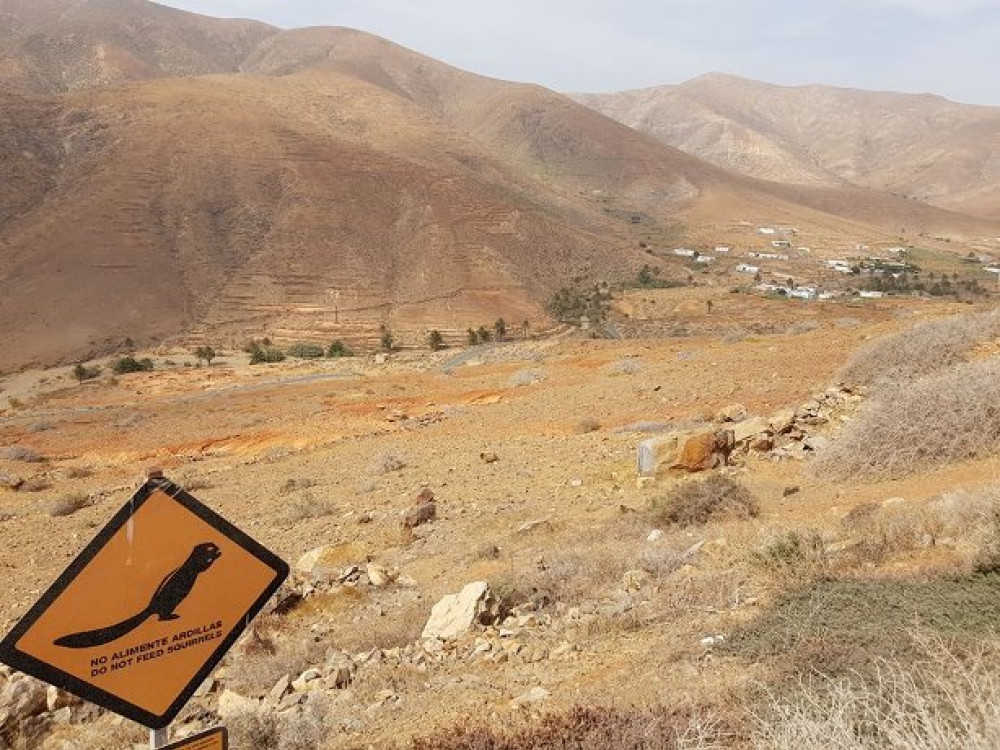 Paysage à Fuerteventura
