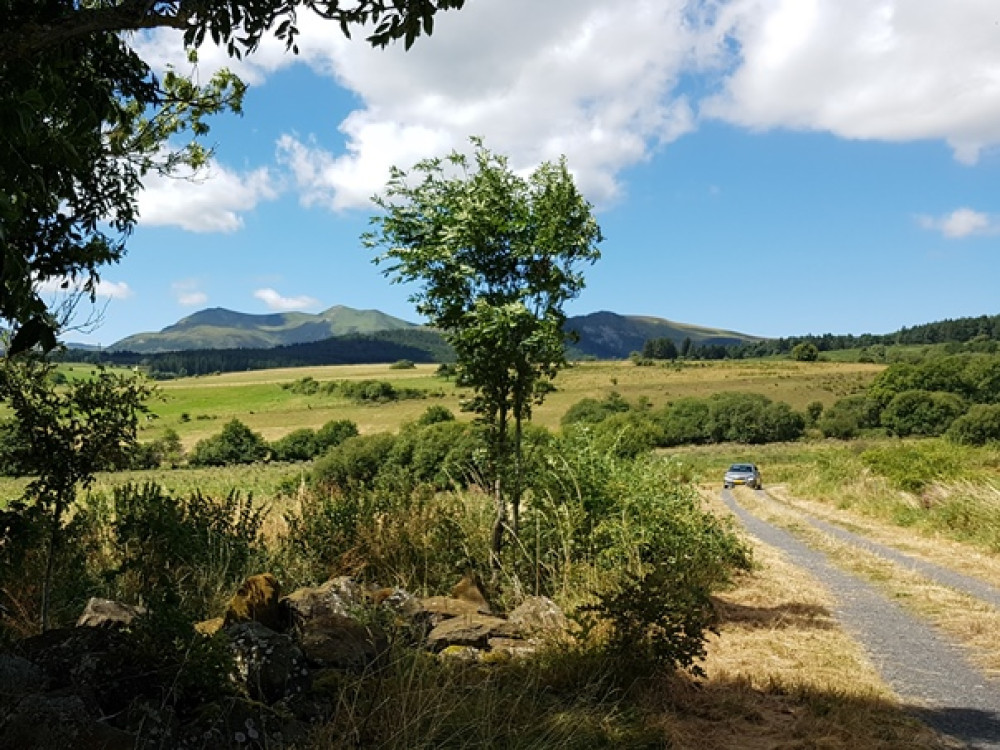 Vacances en voiture