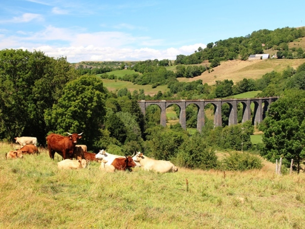 Paysage en Auvergne