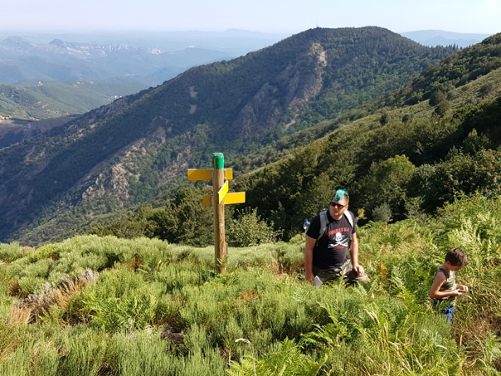 Cévennes
