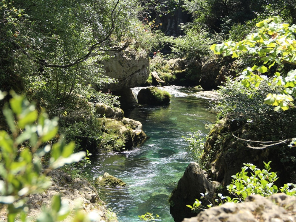 Rivière Vis