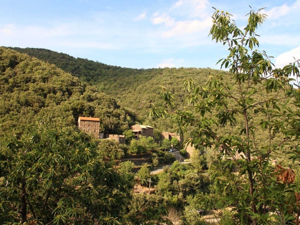 Vivre au calme des Cévennes