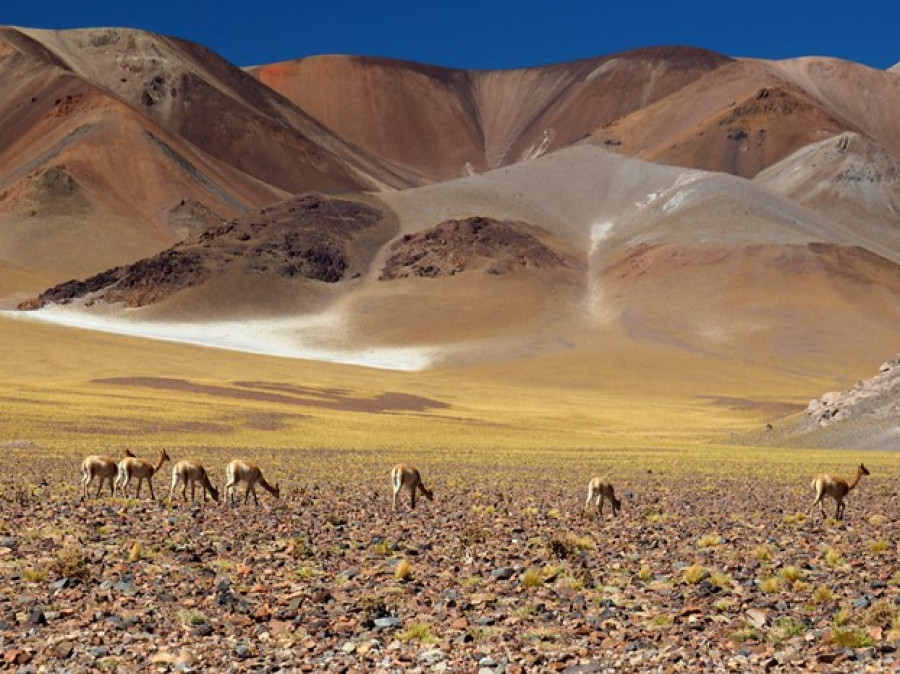 Bel endroit en Argentine