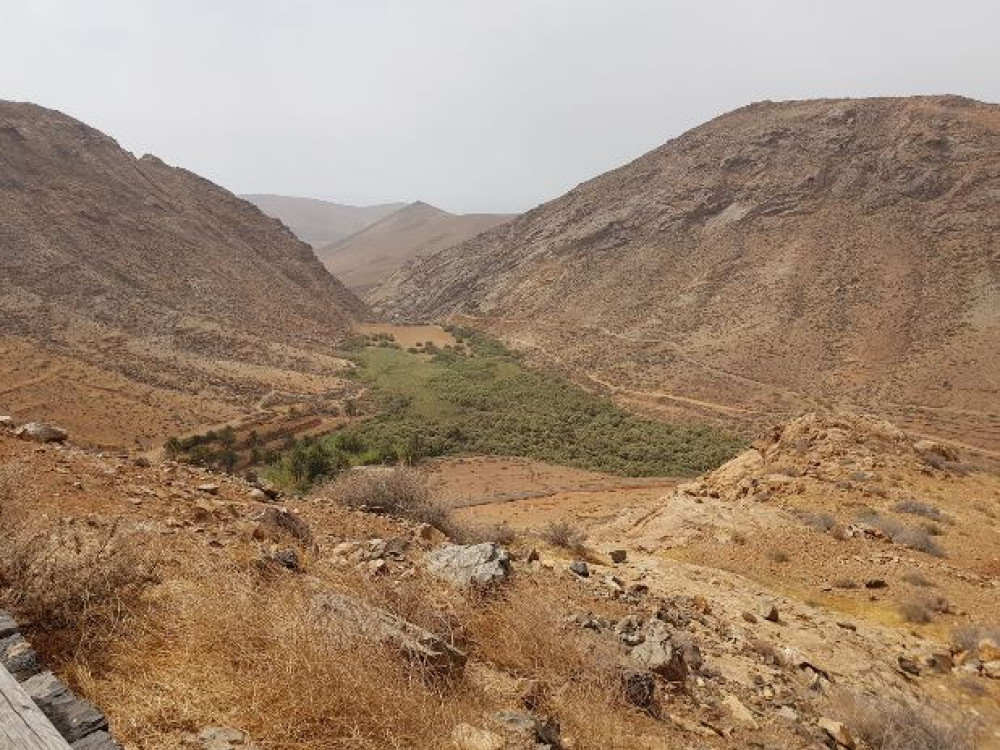 La nature à Fuerteventura