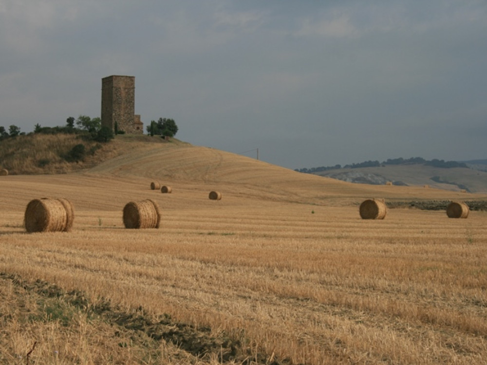 Paysage