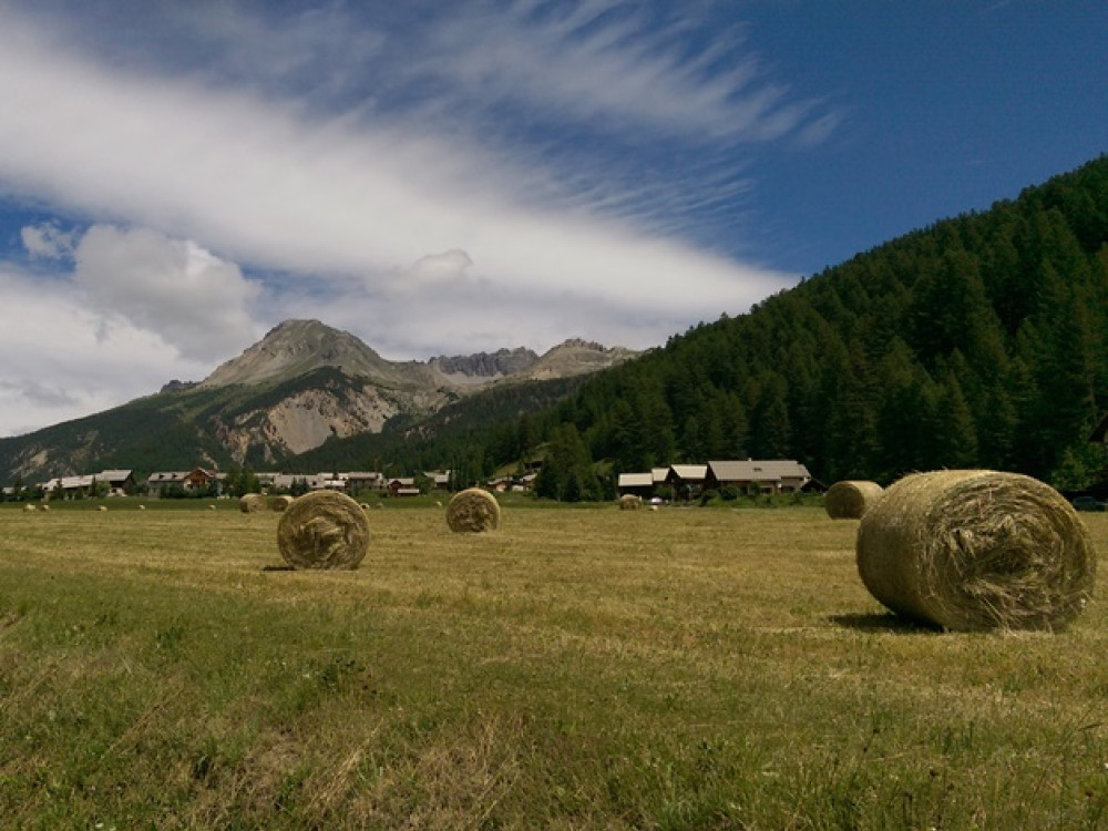 Nature dans les Alpes françaises