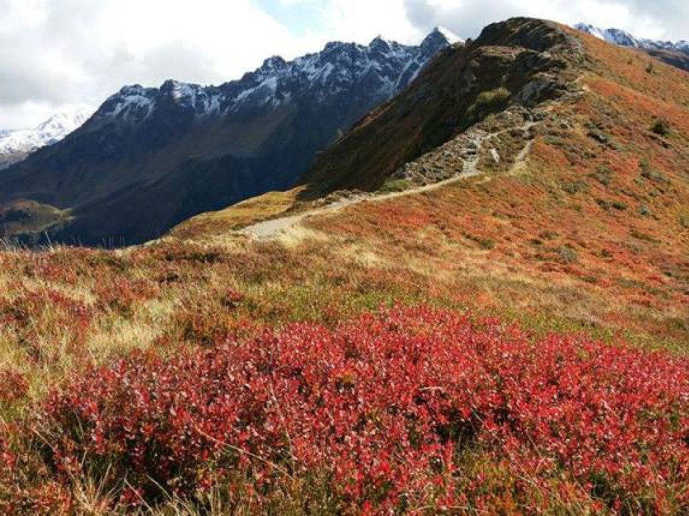Automne au Tyrol