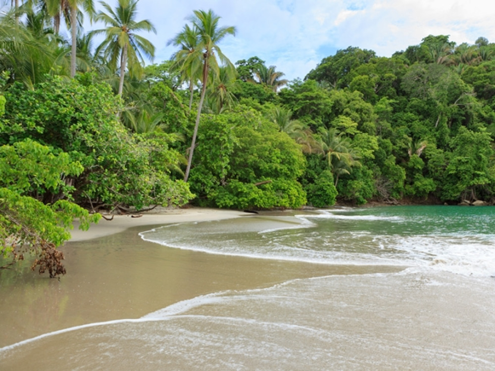 Plage de Manuel Antonio NP