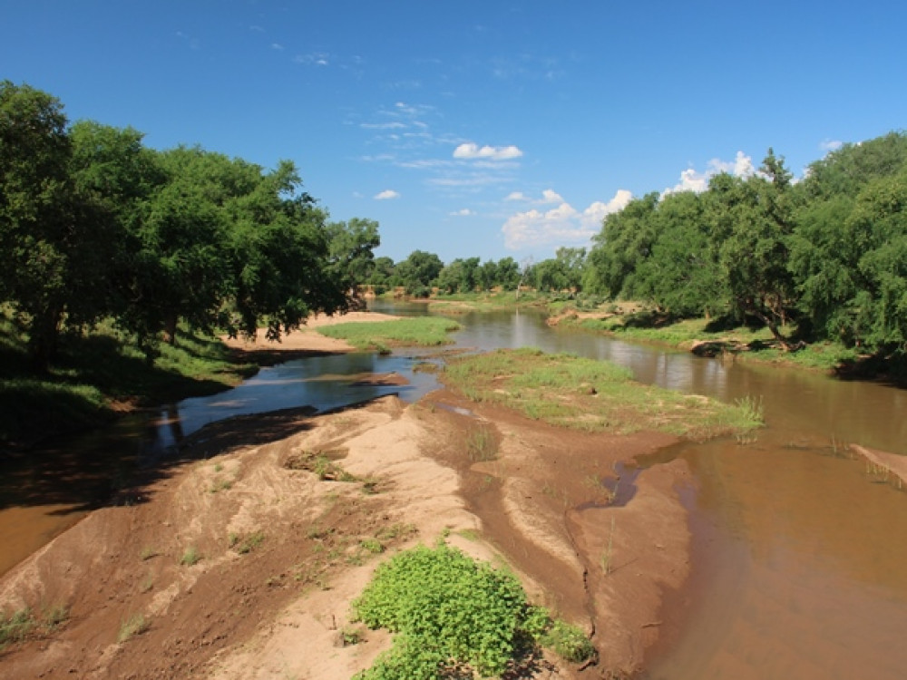 Nature à Kruger