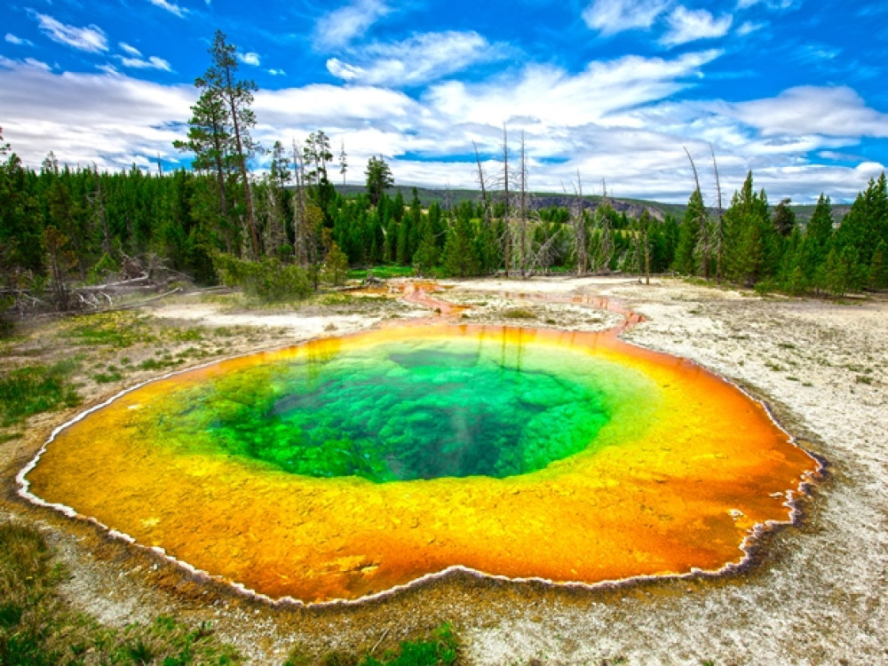 Bassin Morning Glory à Yellowstone