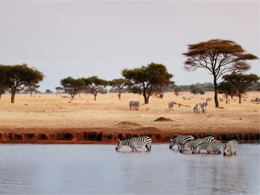 Les plus beaux endroits du Serengeti Les plus beaux endroits du Serengeti