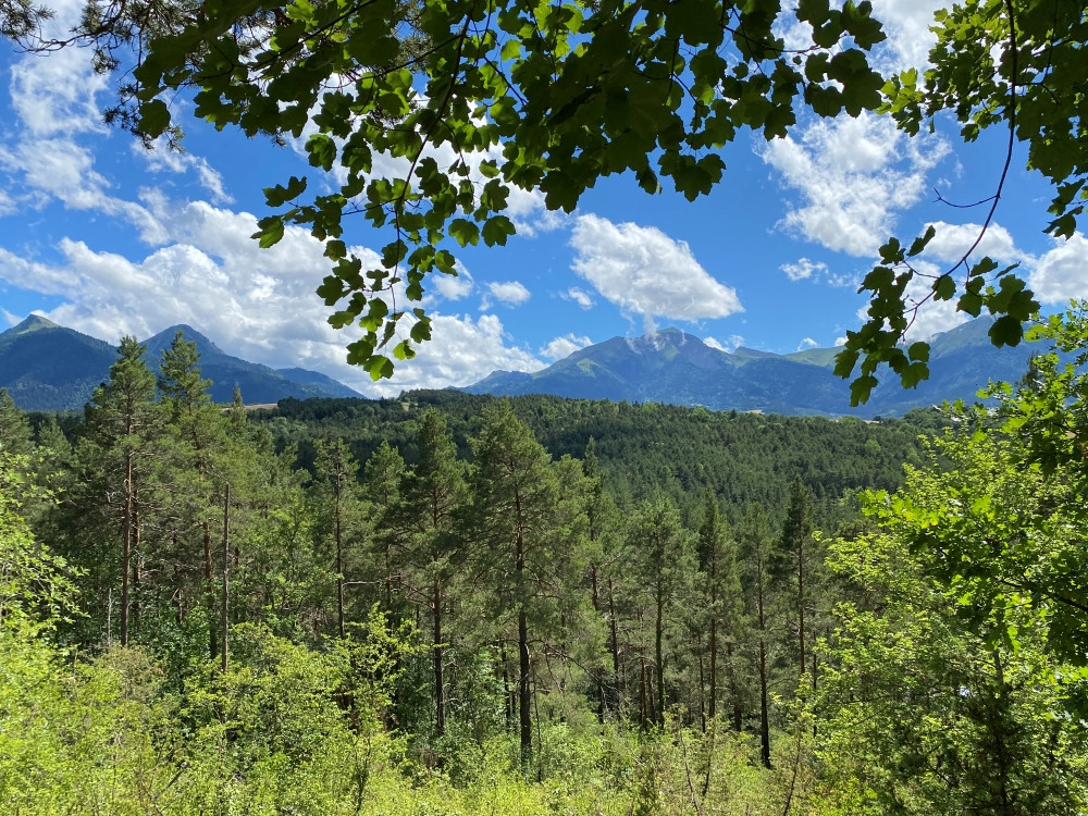La nature à Terre Vivante