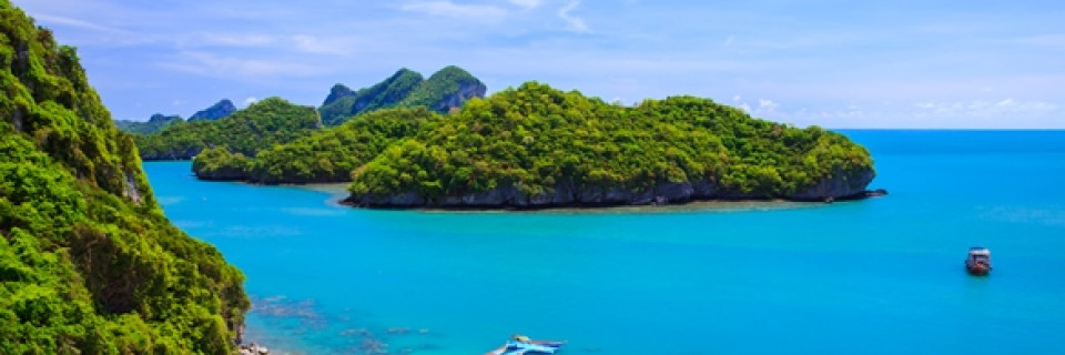Top foto voor Parcs naturels d'Asie