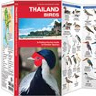 Image pour Guide de terrain Thaïlande