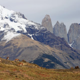 Image pour Randonner en Patagonie