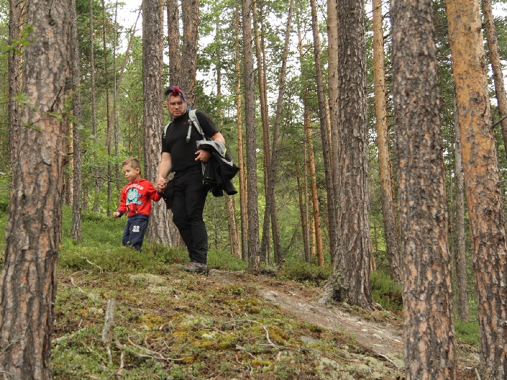Forêt en Norvège