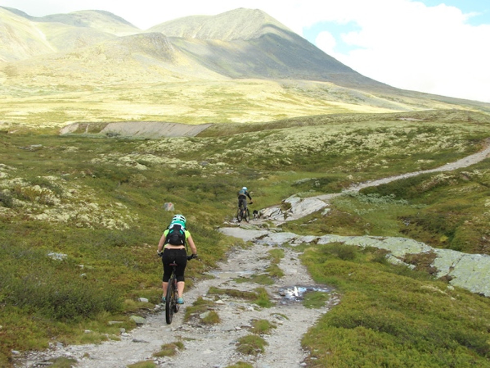 En Norvège