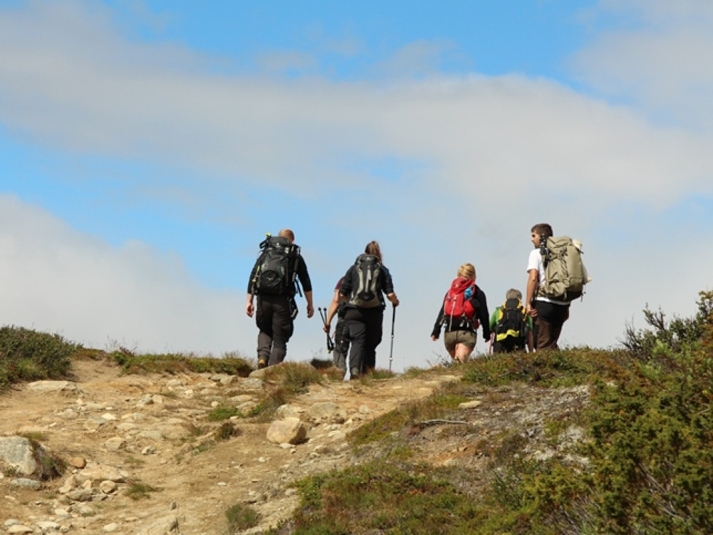 Voyage en groupe