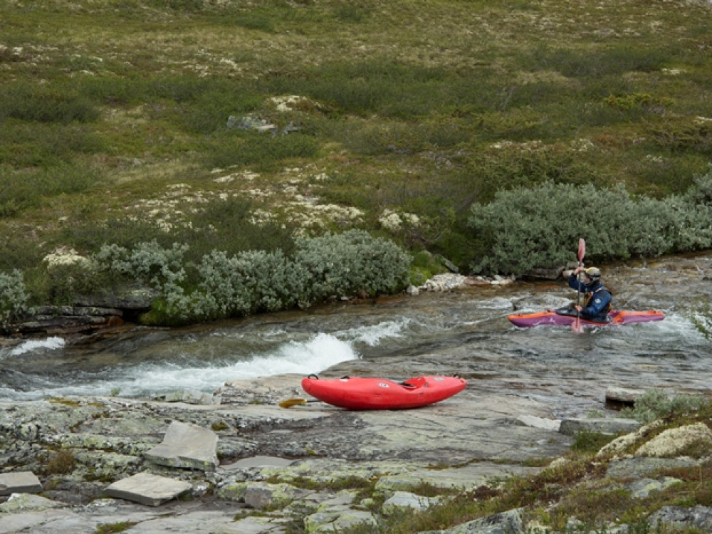 Kayak