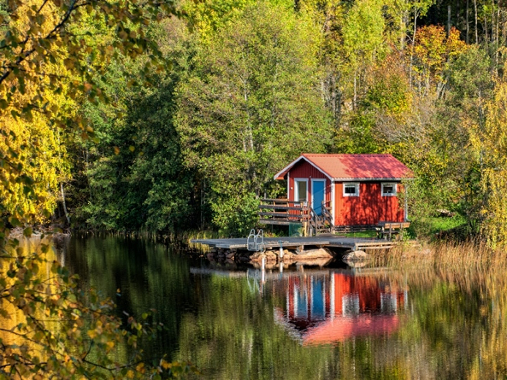 Vacances dans la forêt