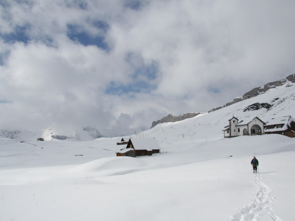 Promenade hivernale