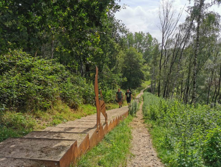 La forêt de Lunteren dans la Veluwe