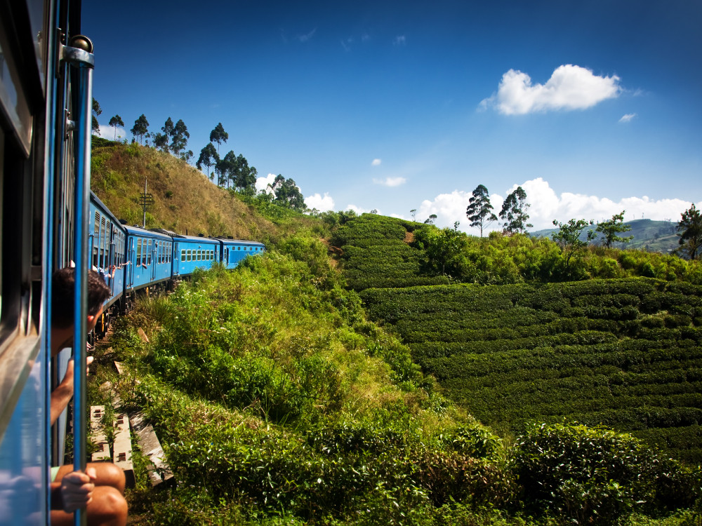 Vacances en train au Sri Lanka