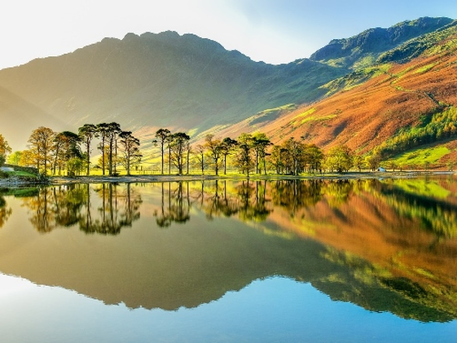 Voyage nature dans le Lake District