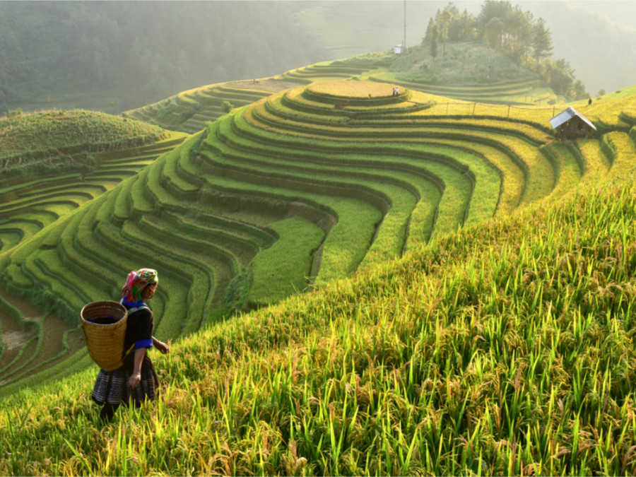 Voyage nature Vietnam Voyage nature Vietnam