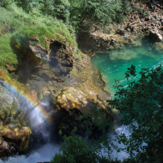 Image pour Les gorges de Vintgar