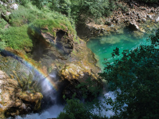 Image pour Les gorges de Vintgar